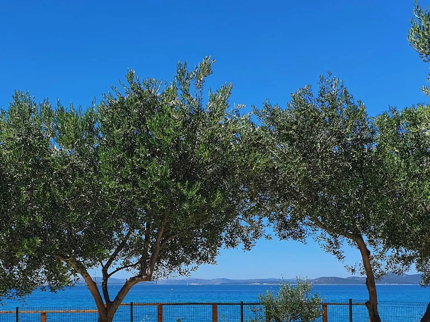 Camping Relax Camp Hotell Pakoštane Kroatien